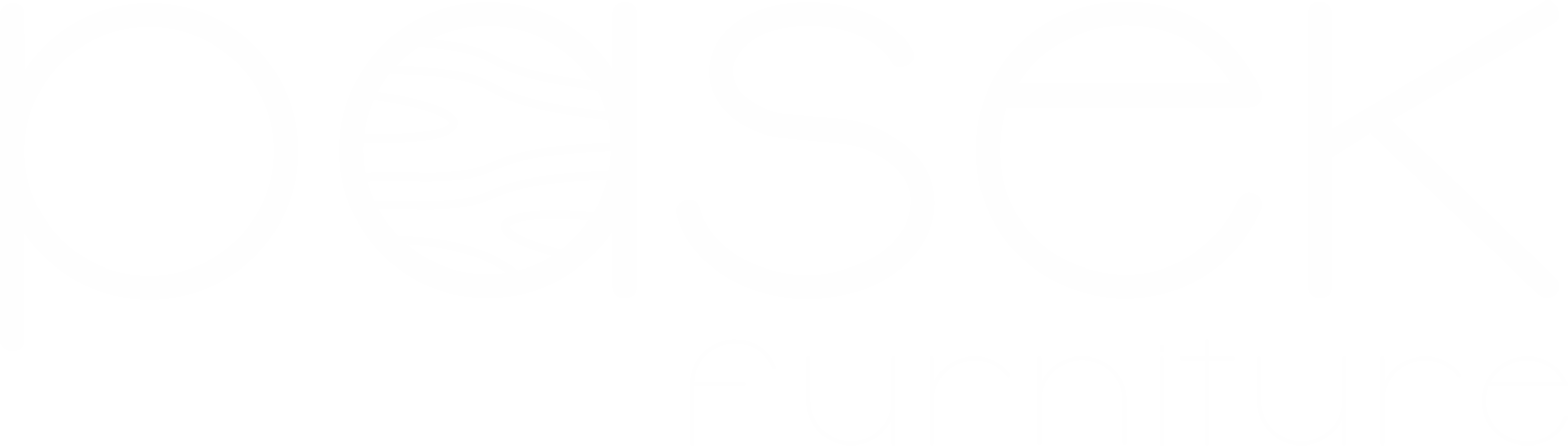 pasekfurniture.pl